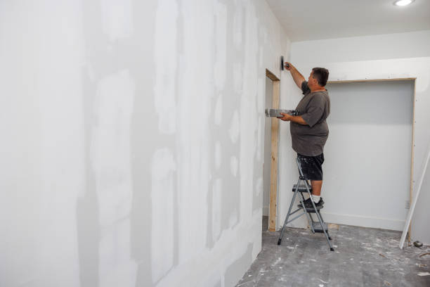 Best Commercial Mold Inspection  in Sea Girt, NJ